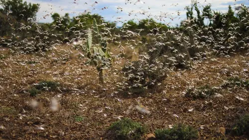 Une planète vivante