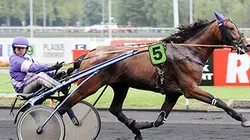 Sur Equidia à 22h00 : Une question de Feeling