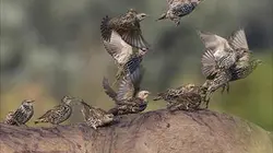 Visuel de Une réserve au fil des saisons