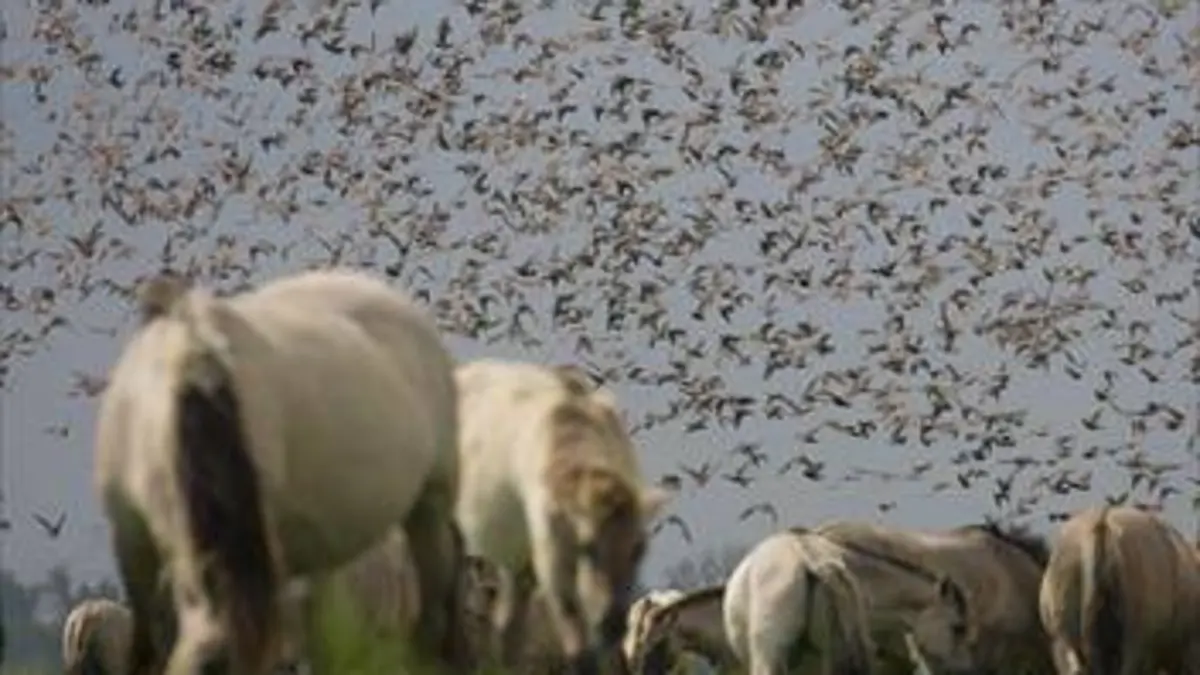 Une réserve au fil des saisons E02 Le temps des défis