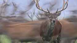 Visuel de Une réserve au fil des saisons