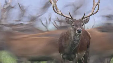 Résister à l'hiver