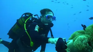 Une saison à Tahiti