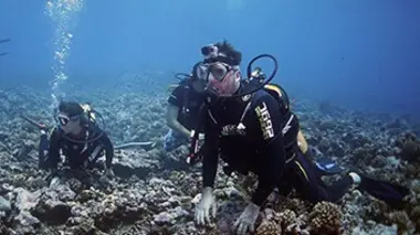 Une saison à Tahiti