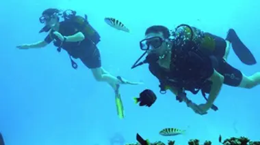 Une saison à Tahiti