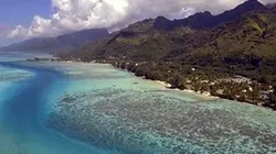 Visuel de Une saison à Tahiti
