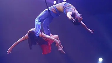 Une saison au cirque