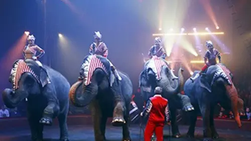 Une saison au cirque S01E10