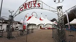 Visuel de Une saison au cirque