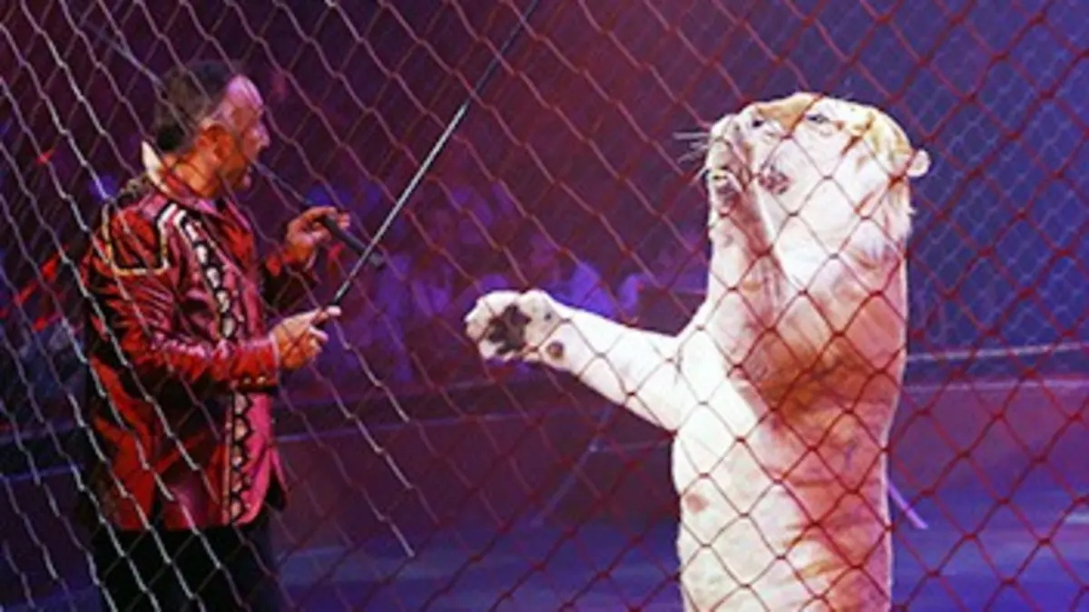 Une saison au cirque S01E01