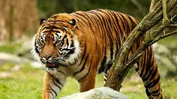 Une saison au zoo S03E01