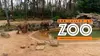 Une saison au zoo