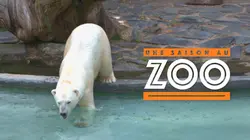 Visuel de Une saison au zoo