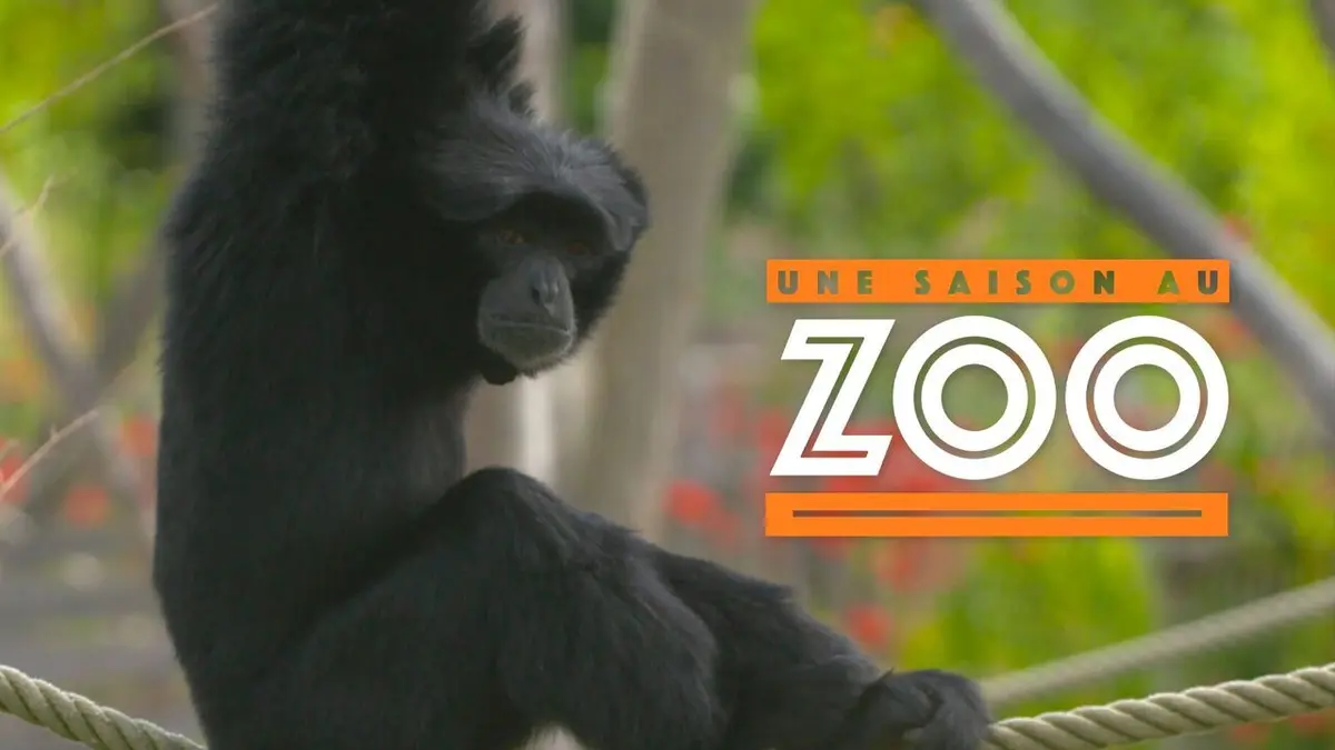 Une saison au zoo