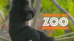 Une saison au zoo