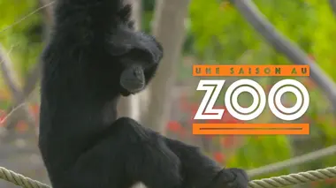 Une saison au zoo