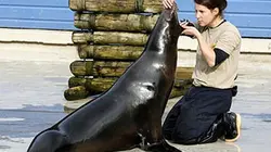 Une saison au zoo S08E56