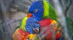 Une saison au zoo S07E08