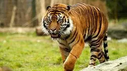 Une saison au zoo E02