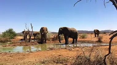 Une saison dans la savane S01E01
