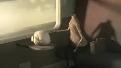 Une tête disparaît