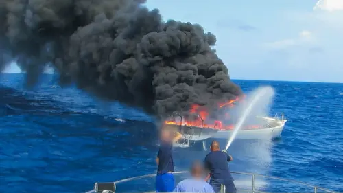 Une tonne cinq Le piège