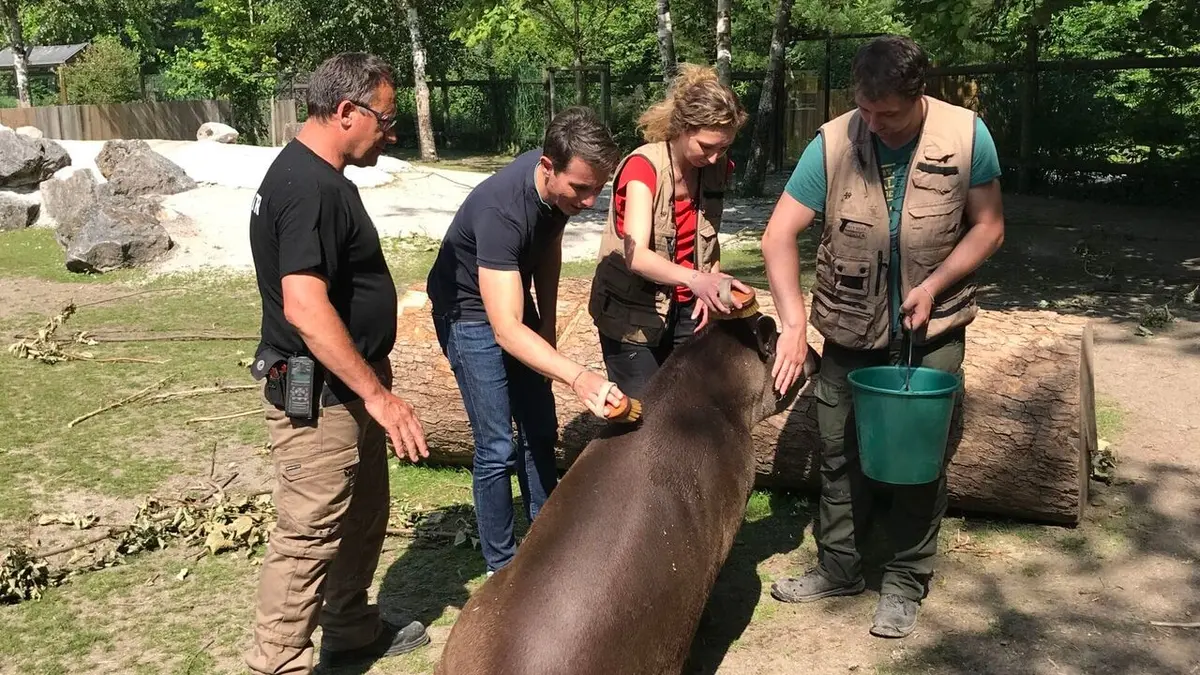 Une vie de bêtes S05E01 Je veux devenir soigneur animalier