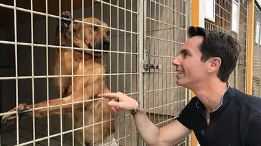 Portes ouvertes à la SPA