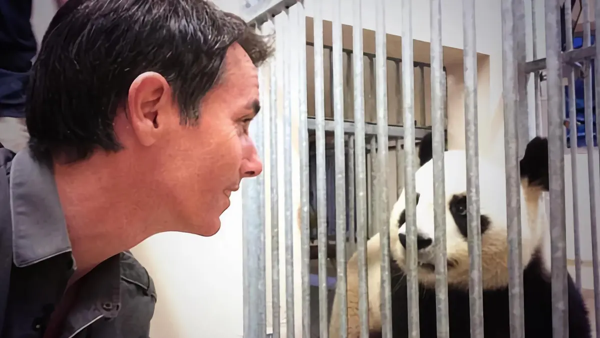 Une vie de bêtes Au zooparc de Beauval