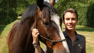 Le Haras de la Cense