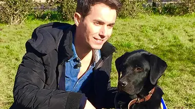 Les chiens d'aveugles