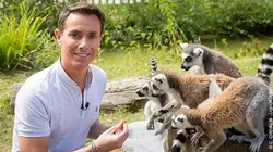 Une vie de bêtes S04E01 Le zoo de Thoiry