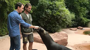 : Le Zoo de Mulhouse