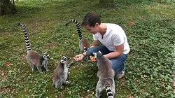 Une vie de bêtes S02E04 La vallée des singes