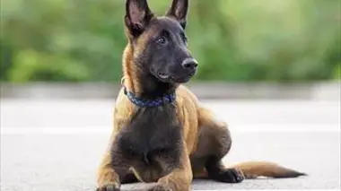 En route pour l'aventure