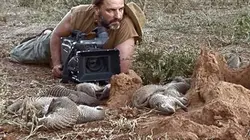 Visuel de Une vie de mangouste