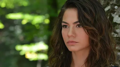 Une vie rêvée S01E33 en streaming