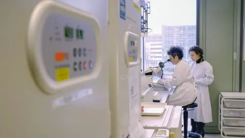 Une vision du futur