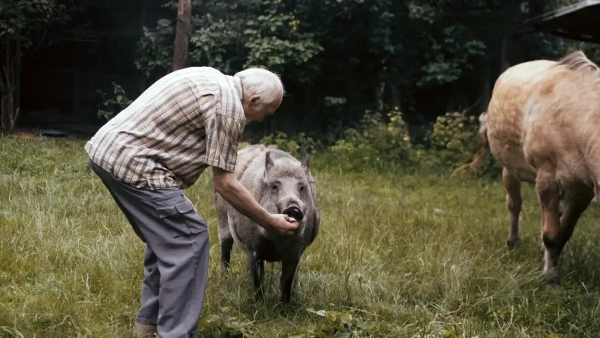 Unhappy S01E10 L'homme et le cheval