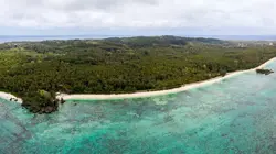 Ura, sauver l'oiseau sacré des australes