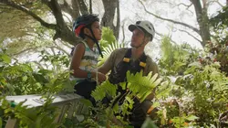 Ura, sauver l'oiseau sacré des australes