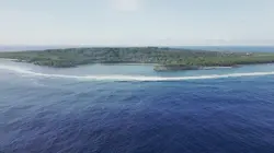 Ura, sauver l'oiseau sacré des australes