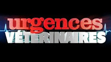 Urgences vétérinaires Au coeur des urgences vétérinaires