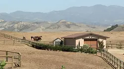 Visuel de USA, California Dream