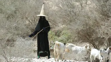 Parfums de l'Arabie heureuse