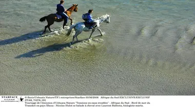 Tension en eaux troubles