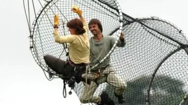 Retour vers la planète des singes