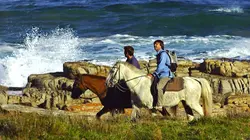 Ushuaïa nature S01E33 Tension en eaux troubles