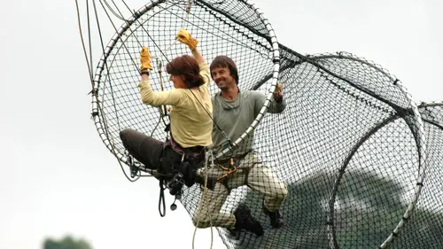 Ushuaïa nature Retour vers la planète des singes