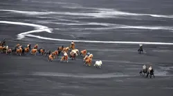 Ushuaïa nature S01E42 On a marché sur l'Islande